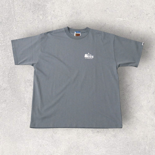 COTTON T-SHIRT_CITY_C GRAY